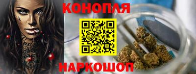 тгк Аргун